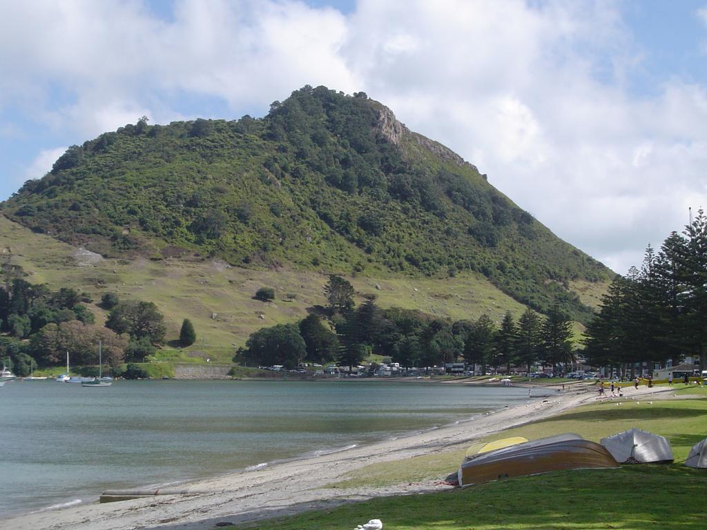 Seagulls Guesthouse Mount Maunganui Eksteriør bilde