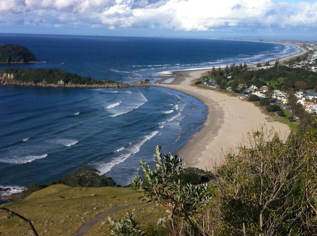 Seagulls Guesthouse Mount Maunganui Eksteriør bilde